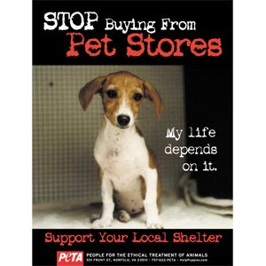 PETA DOG POSTER STOP BUYING FROM PET STORES