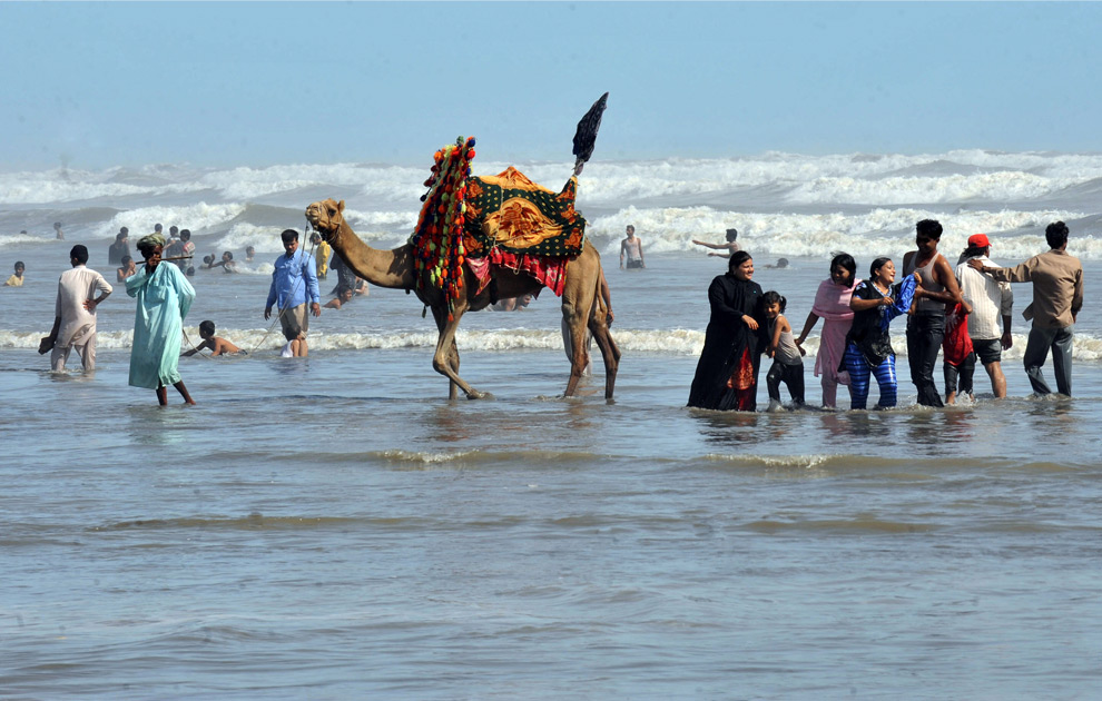 [camel+at+beach+pakistan.jpg]