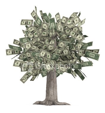 [money_tree.jpg]