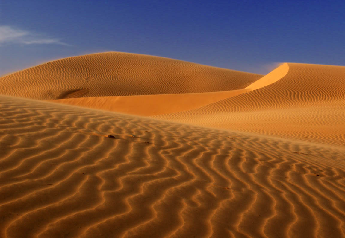 [dunes.jpg]