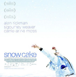 [snowcake.jpg]