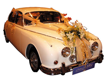 [wedding-car.jpg]