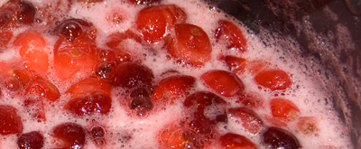 [cranberries-2.jpg]
