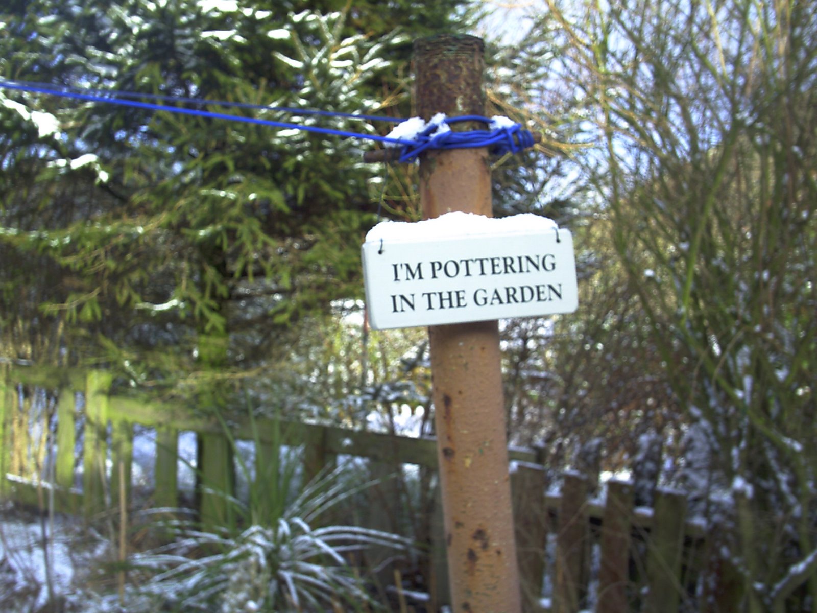 [i'm_pottering_in_the_garden.JPG]