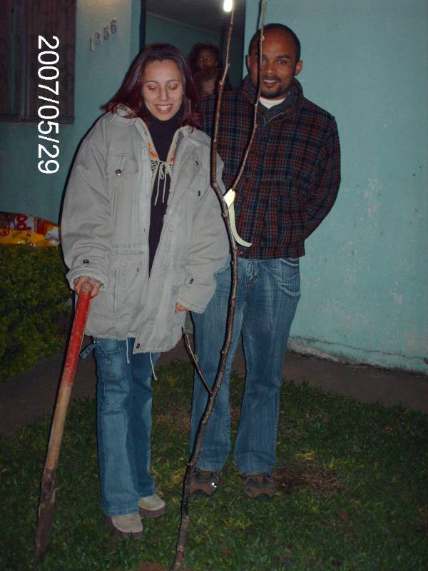 Aluna Sandra da turma 206 e seu marido e o enxerto de pêra plantado no gramado de sua casa.