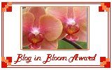 [blog+in+bloom+award.jpg]