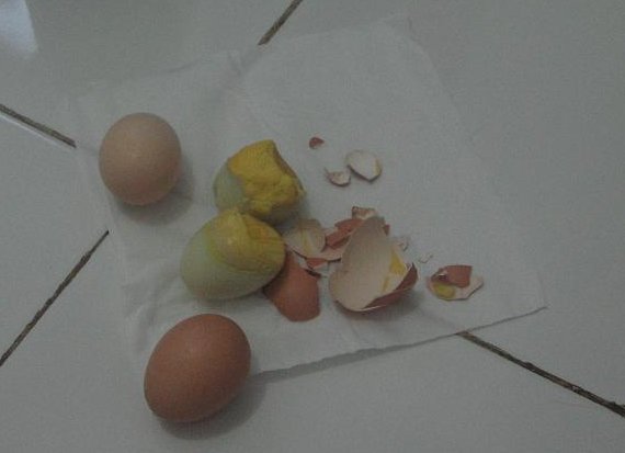 [telur+palsu.JPG]