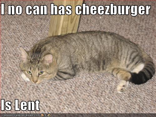 [funny-pictures-cheezburger-lent-cat.jpg]