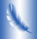 [feather+blue.jpg]