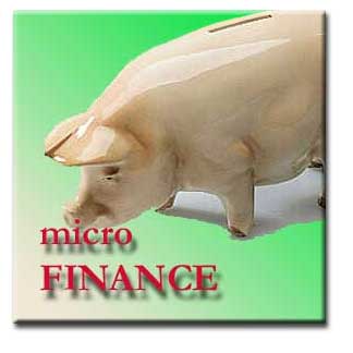 [microfinance2.jpg]