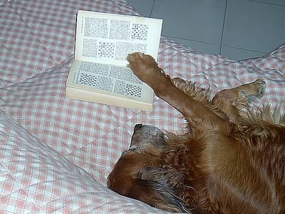 [dog_reading_chessbook.jpg]