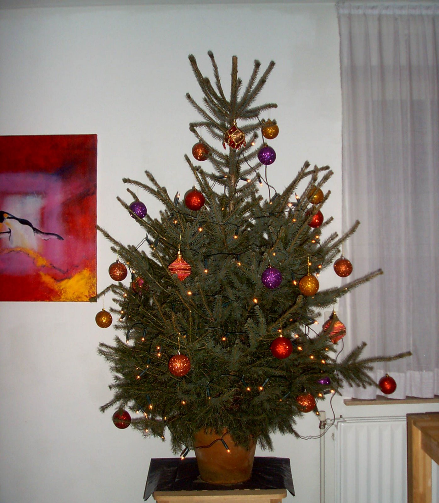 [Kerstboom+14-12-2007+001.JPG]