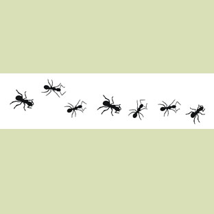 [hormigas+dibujadas.jpg]