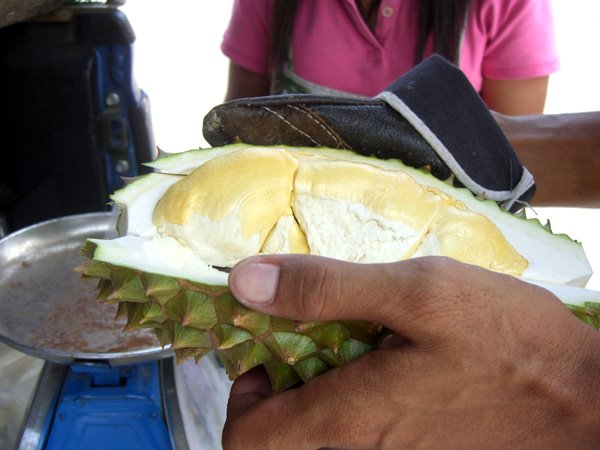 [Durian+3.jpg]