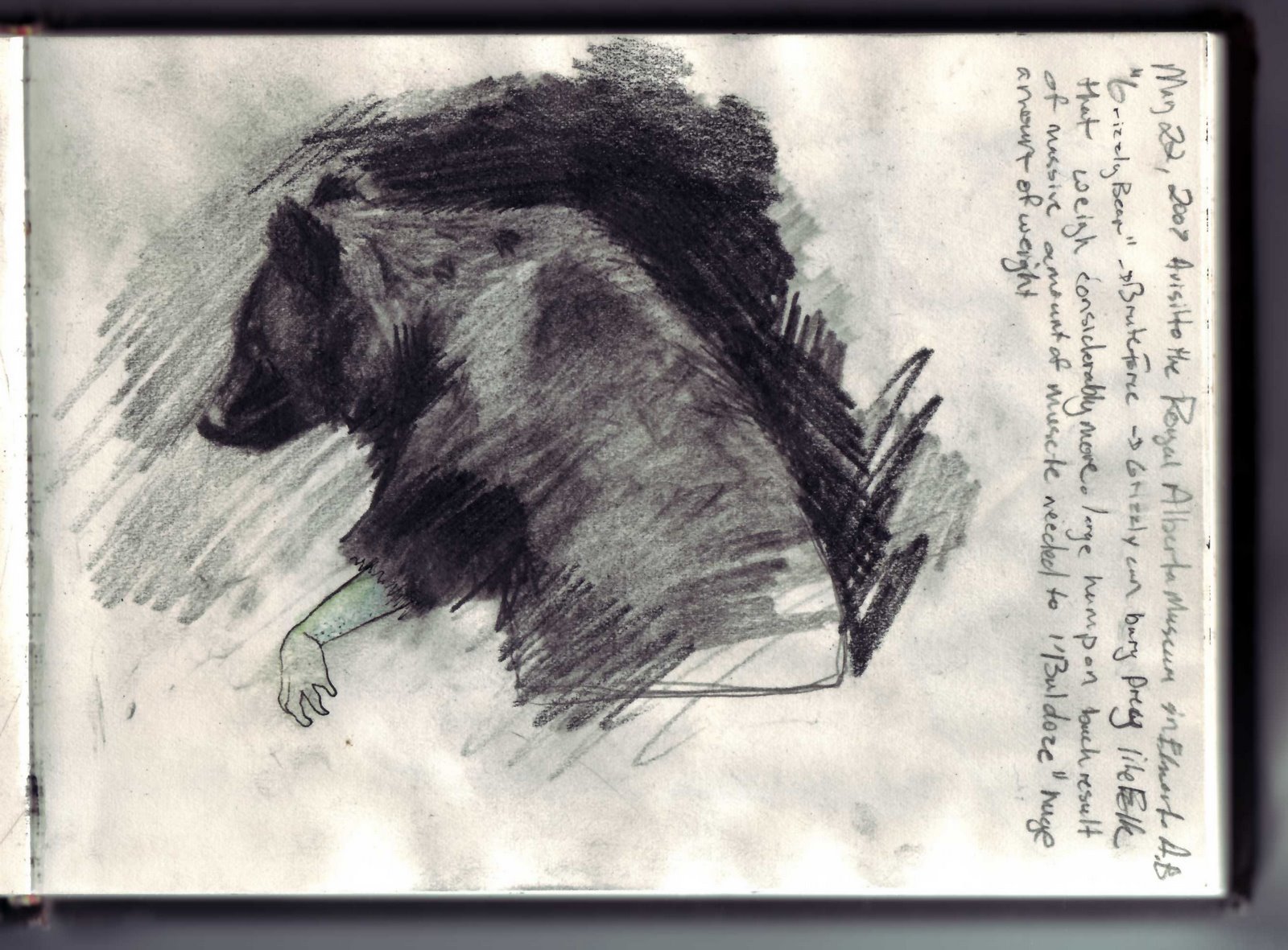 [Sketchbook_bear_museum.jpg]