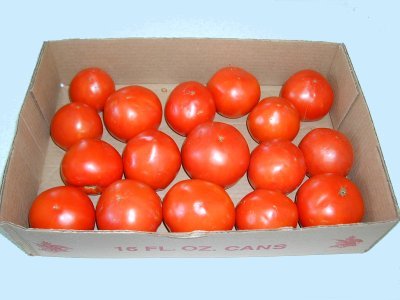 [tomato+juice+1.jpg]