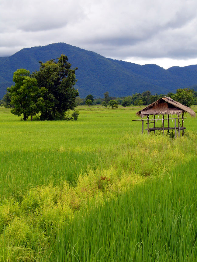 [Sukhothai+-+Countryside+1+sm.jpg]