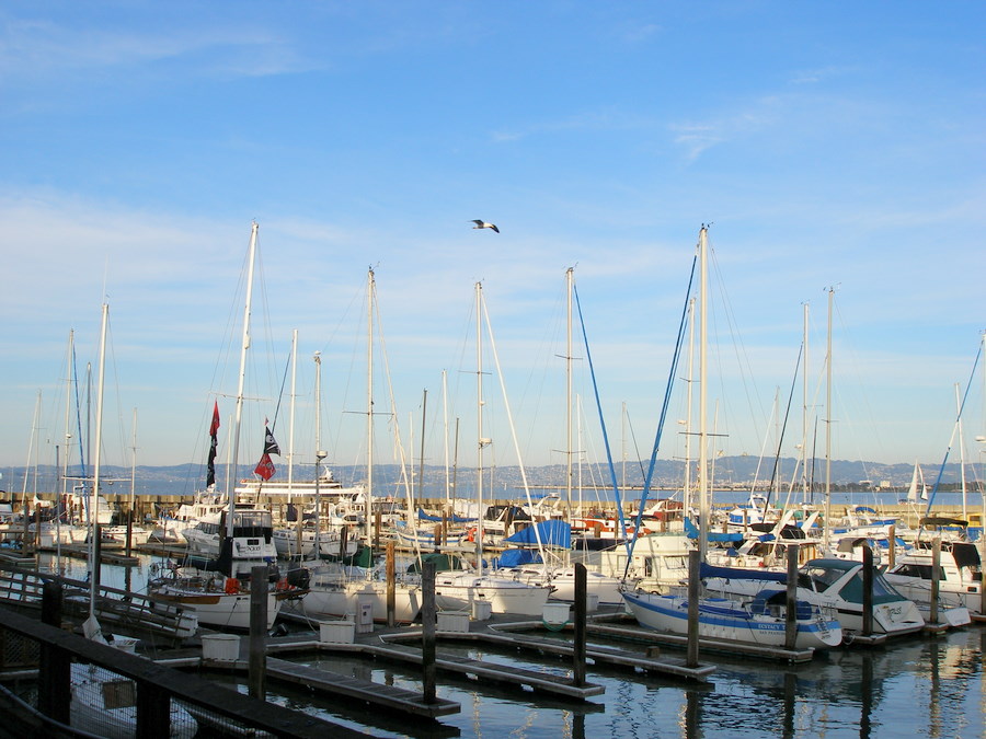 [Bird+in+flight+over+moored+sailboats+Fisherman's+Wharf1.JPG]