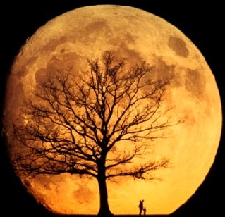 [naranja-luna-anaranjada-orange-moon.jpg]