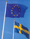 [flagga_eu_och_svensk_flagga.jpg]