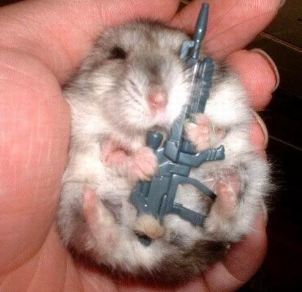[hamster_with_gun.jpg]