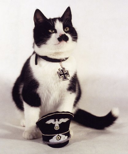 [Hitler+Cat.jpg]