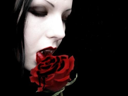 [vampire_with_a_rose--large-msg-11551142831_hdr.jpg]
