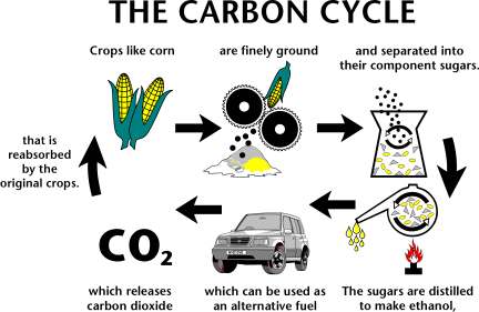 [carboncycle2.gif]