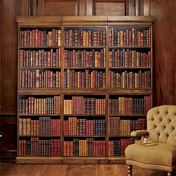 [Bookshelve+Panels+by+Worthington.jpg]