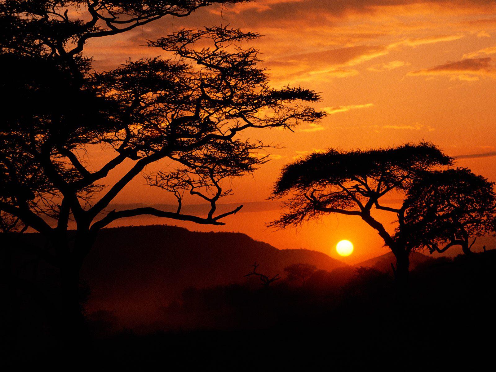 [Serengeti+National+Park+Sunset,+Tanzania.jpg]
