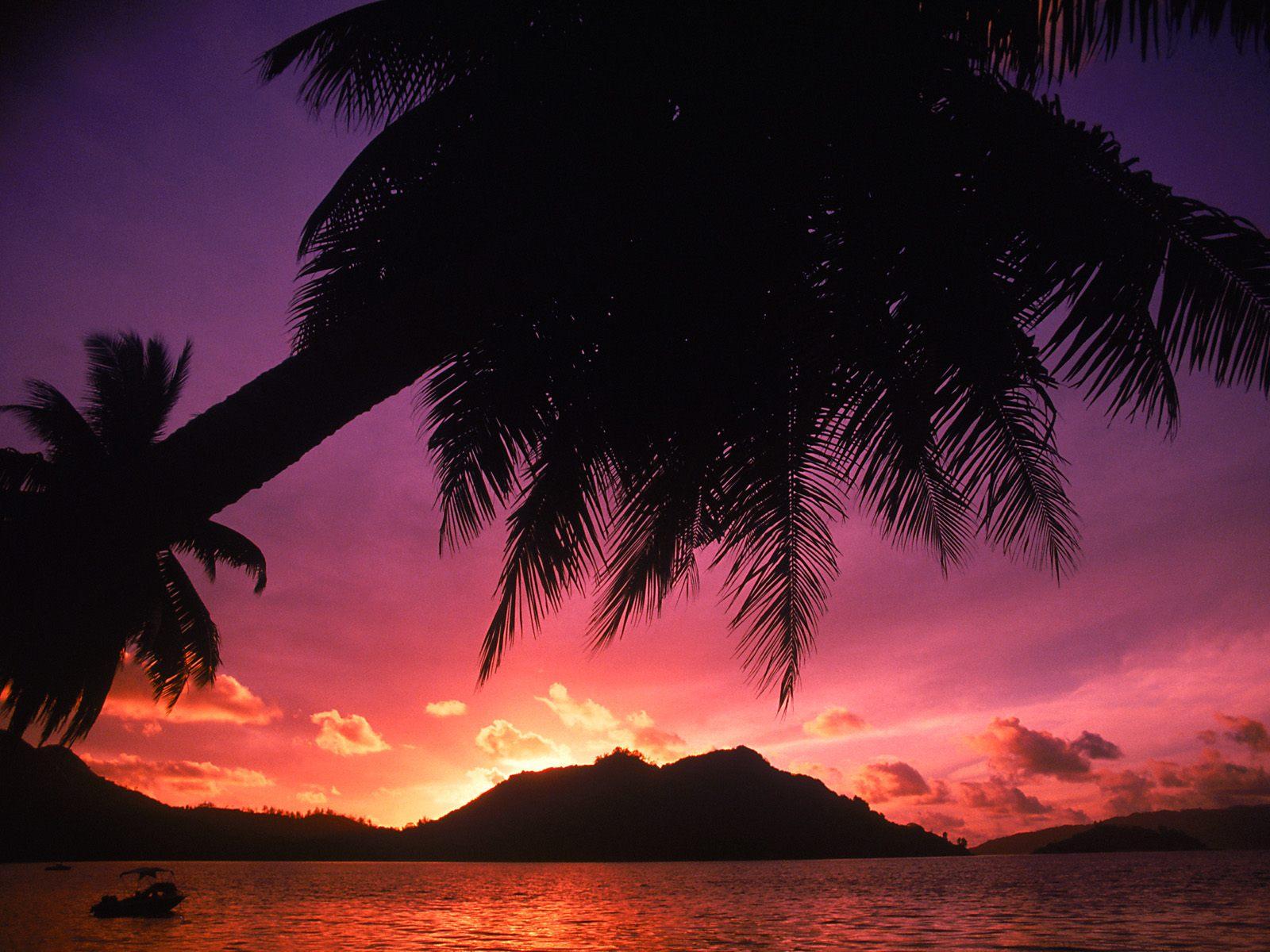 [Tropical+Beach+at+Sunset,+The+Seychelles.jpg]