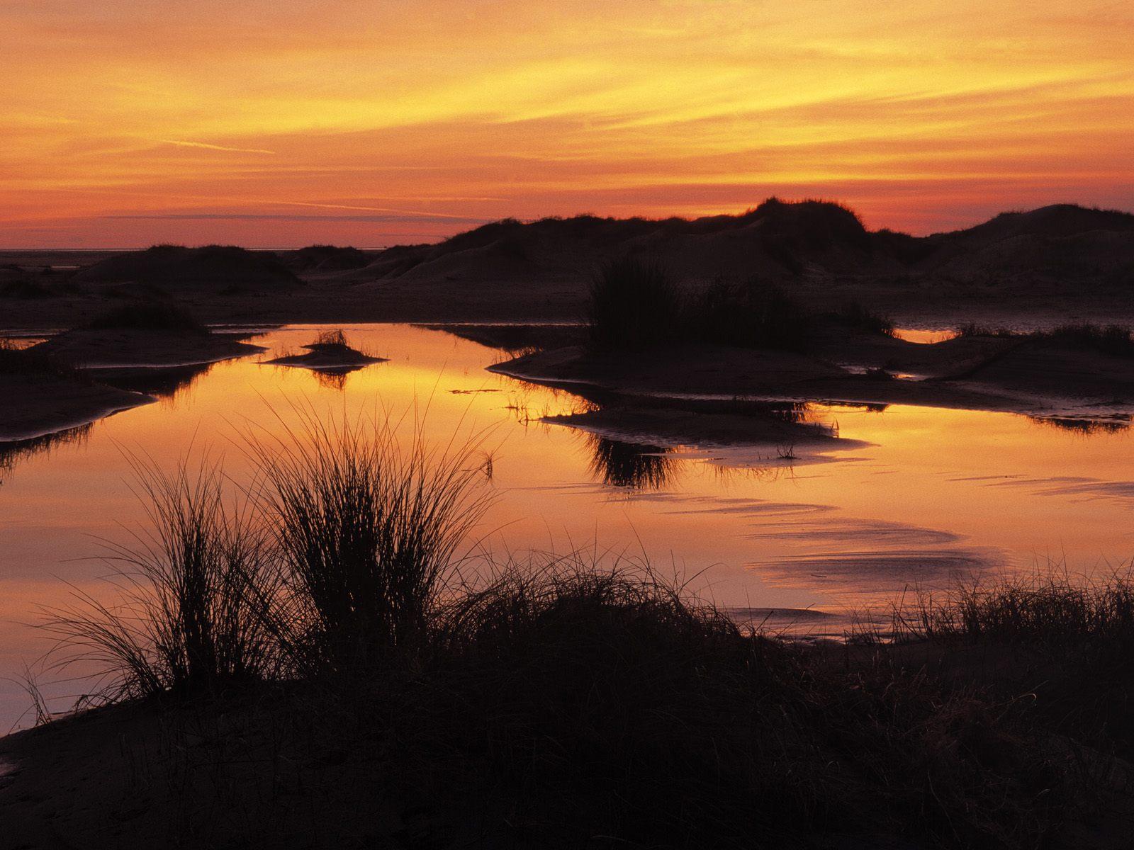 [Wetland+and+Sand+Dunes+at+Sunset,+Wadden+Islands,+Holland,+The+Netherlands.jpg]