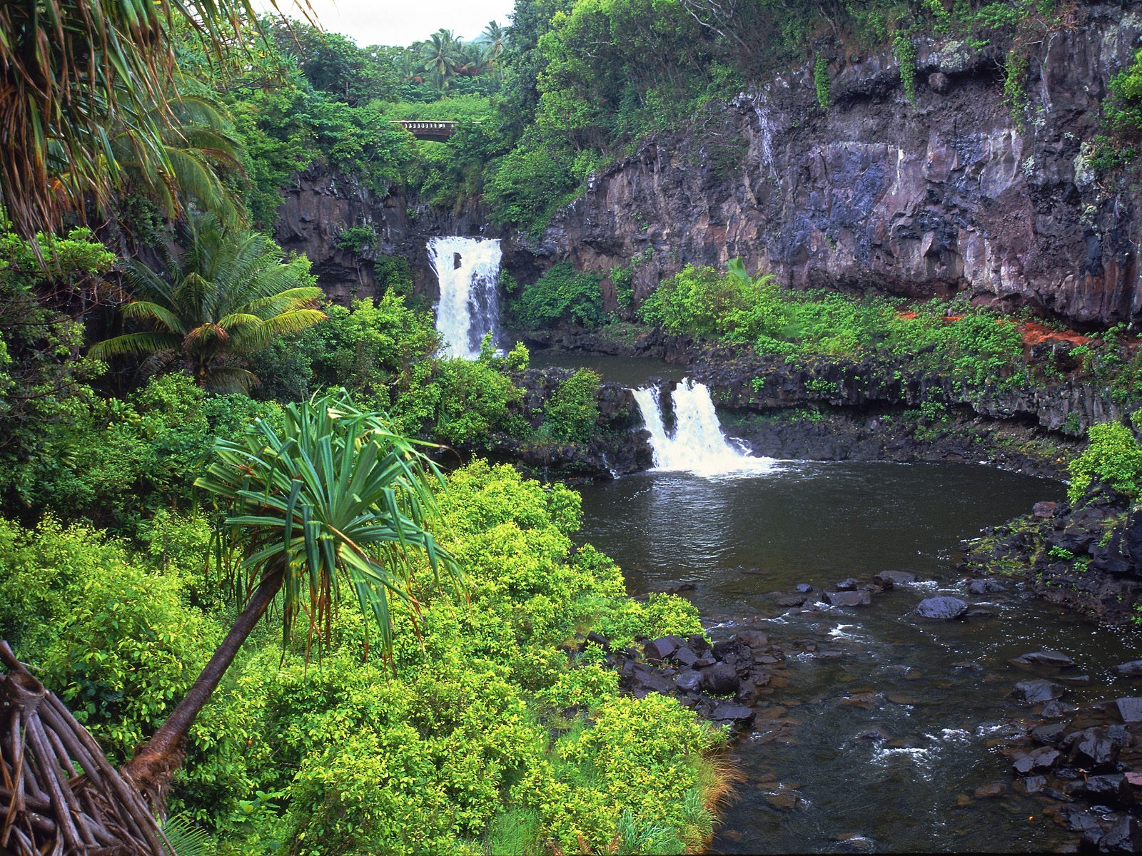 [7+Pools+of+Oheo,+Maui,+Hawaii.jpg]