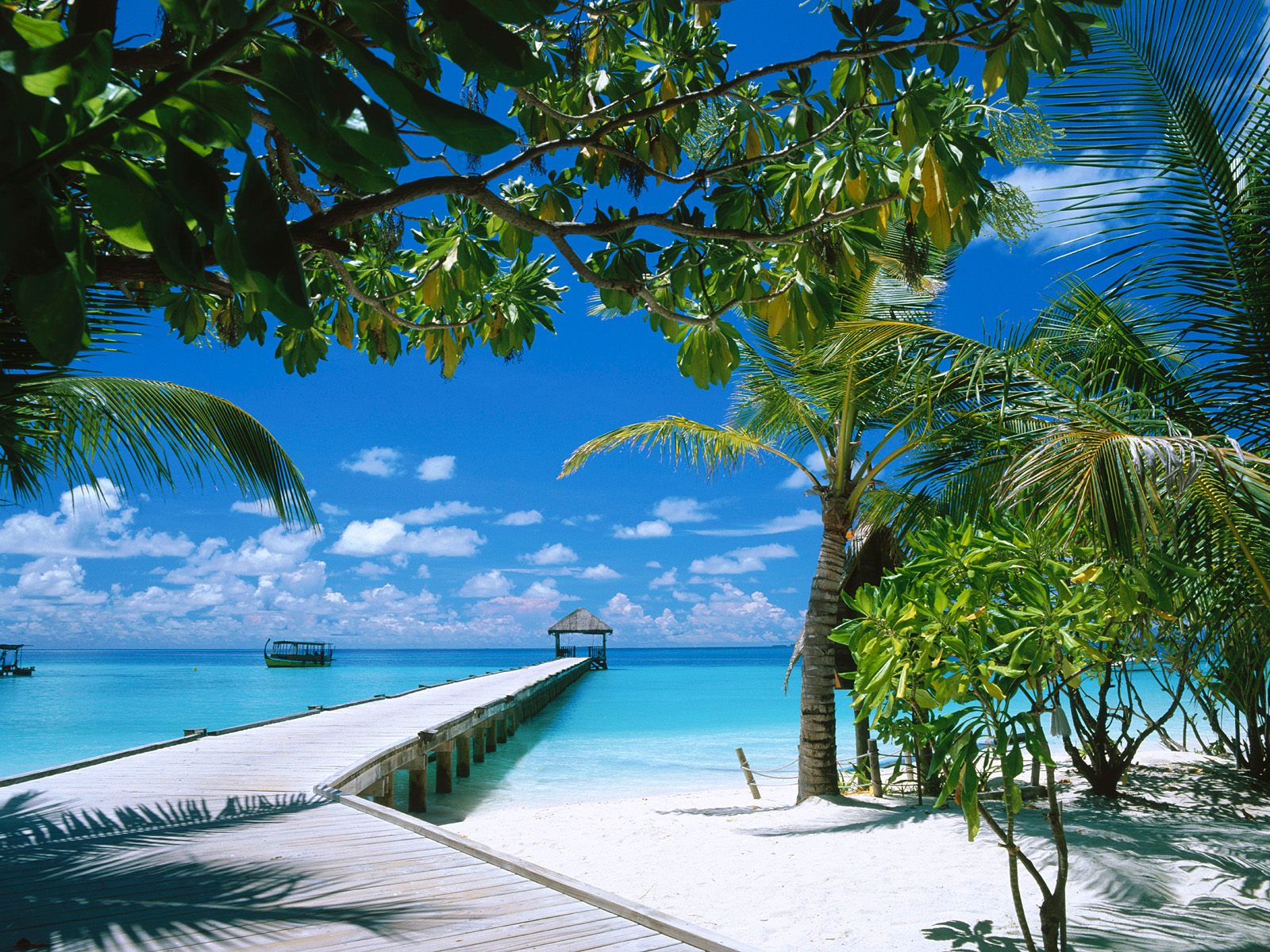 [Ari+Atoll,+Maldives.jpg]