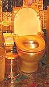[golden_toilet.JPG]