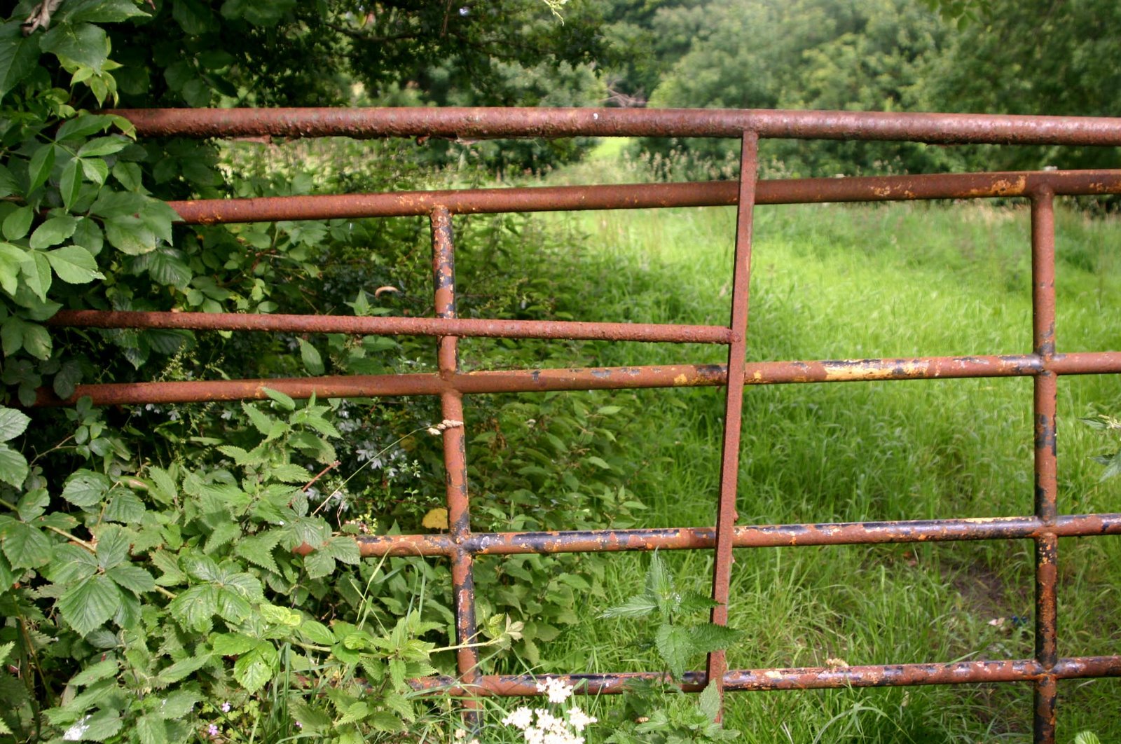 [Old+farm+gate.jpg]