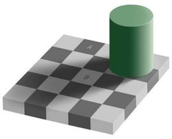[chess-board-illusion.jpg]