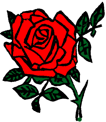 [rose.red.jpg]