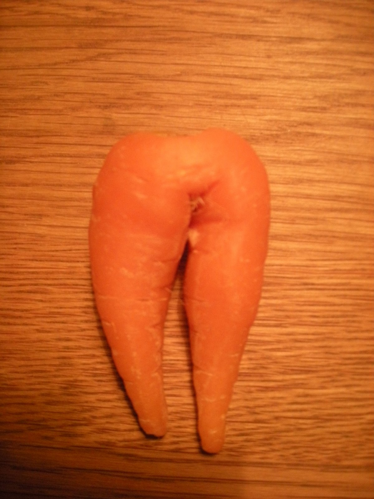 [carrot_back.JPG]