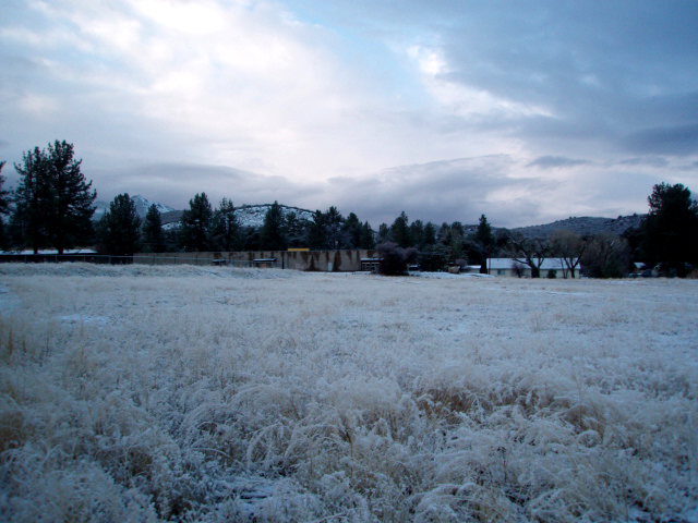 [meadow+snow.jpg]