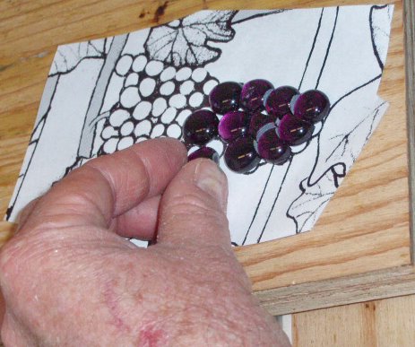 [grapes+in+hand.jpg]