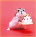 [Mouse+birthday+cake.jpg]