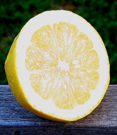[lemon.bmp]