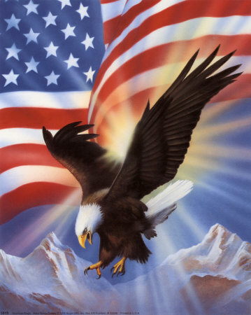 [5819~American-Eagle-and-Flag-II-Posters.jpg]