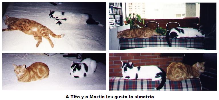 [Tito+y+Martín+en+simetría.JPG]