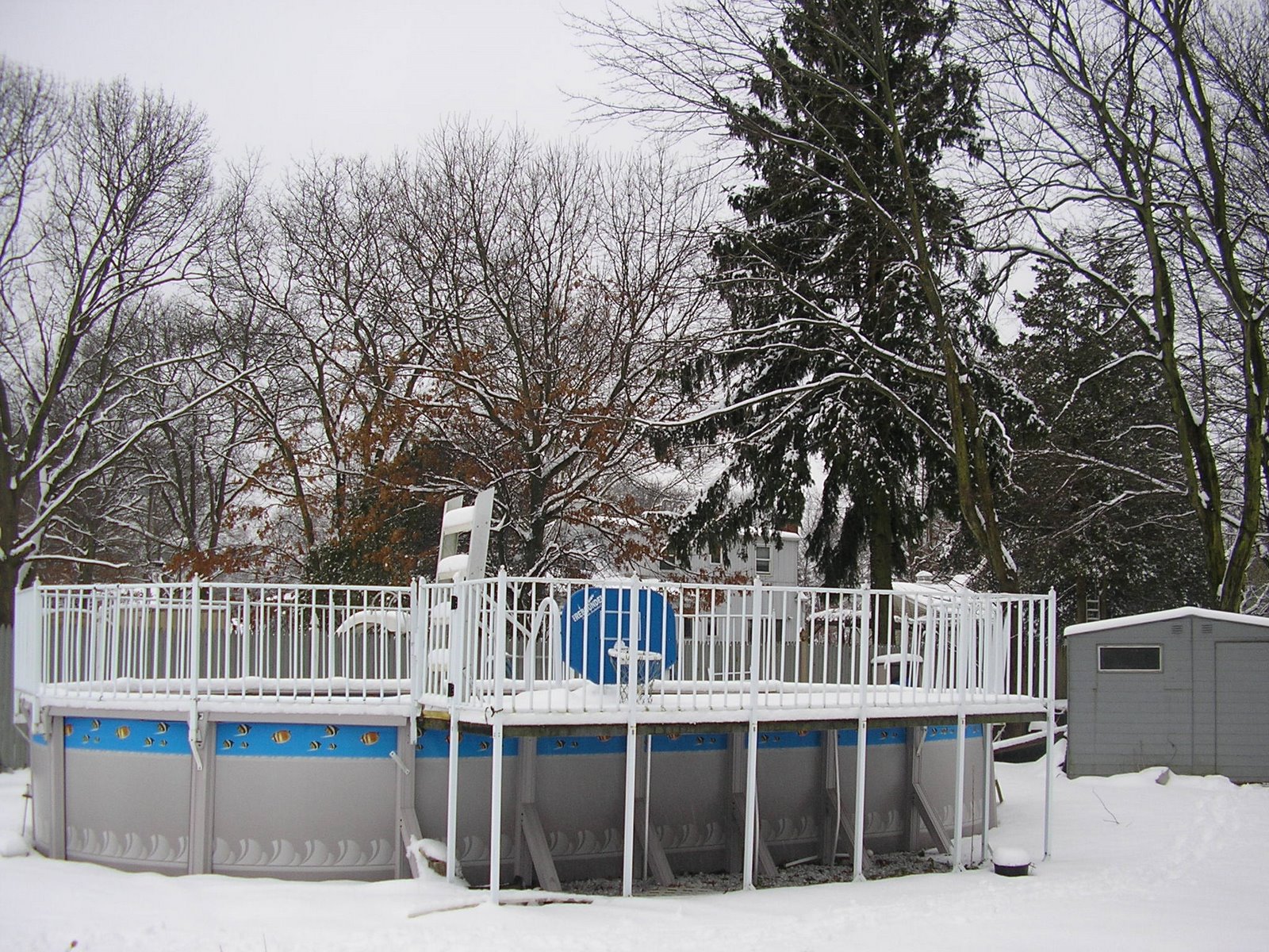 [pool+snowed+in.JPG]