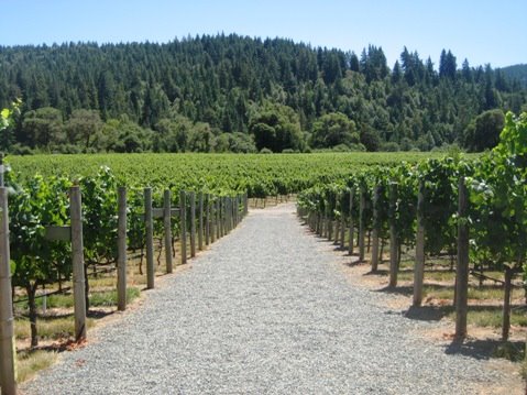 [Boonville_wine_country-california-goldeneye-vineyards.jpg]