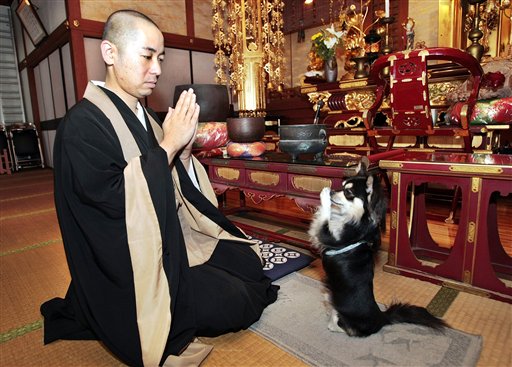 [dog-praying-temple2.jpg]