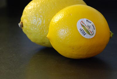 [lemons.meyer+reg.jpg]