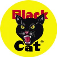 [black-cat-fireworks-logo.jpg]